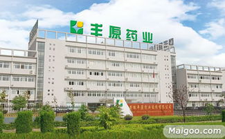 豐原品牌 品牌介紹